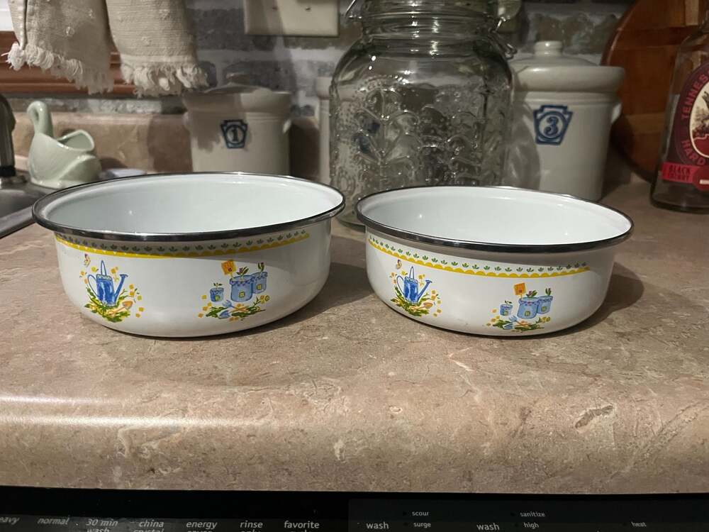 Vintage Floral Garden Watering Can Pattern Enamelware Nesting Bowls, Set of 2